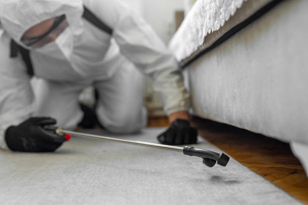 Professional Bed Bug Control technician working in Santa Claus, IN