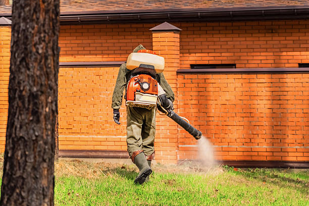 Trusted Bed Bug Control service in Santa Claus, IN - Nex Pest Control